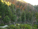 photo thumbnail #9