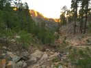 photo thumbnail #11