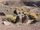 photo thumbnail #4