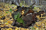 photo thumbnail #3