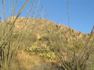 recent photo