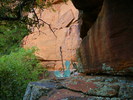 photo thumbnail #3