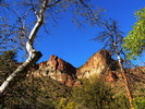 photo thumbnail #2
