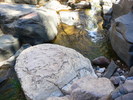 photo thumbnail #15