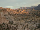 recent photo