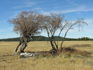 photo thumbnail #7