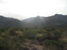 photo thumbnail #1