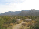 photo thumbnail #2