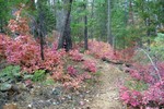 photo thumbnail #11