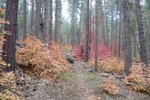 photo thumbnail #13