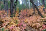 photo thumbnail #15
