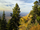 photo thumbnail #5