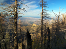 photo thumbnail #8