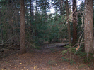 photo thumbnail #12