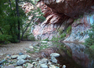 photo thumbnail #10