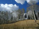 photo thumbnail #1