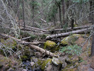 photo thumbnail #9