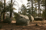 photo thumbnail #2