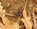 photo thumbnail #7