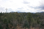 photo thumbnail #10