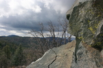photo thumbnail #11