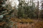 photo thumbnail #13