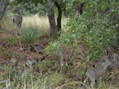 photo thumbnail #5