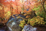 photo thumbnail #11