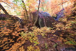 photo thumbnail #13