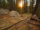 photo thumbnail #9