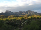photo thumbnail #5