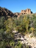 photo thumbnail #4