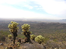 photo thumbnail #2