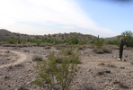 photo thumbnail #4