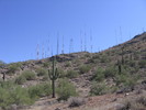 photo thumbnail #8