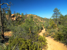 photo thumbnail #8