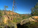 photo thumbnail #11