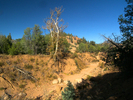 photo thumbnail #12
