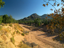 photo thumbnail #13