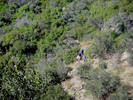 photo thumbnail #7