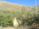 photo thumbnail #5