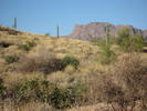 photo thumbnail #1