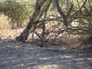 photo thumbnail #2