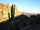 photo thumbnail #5