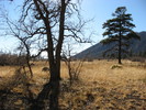 photo thumbnail #2