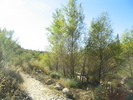 photo thumbnail #1