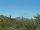 photo thumbnail #2