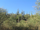 photo thumbnail #4