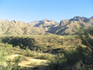 photo thumbnail #6