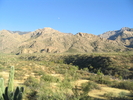 photo thumbnail #7